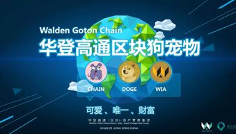 華登區塊狗推廣機制開發系統 廣州軟件開發的創新實踐